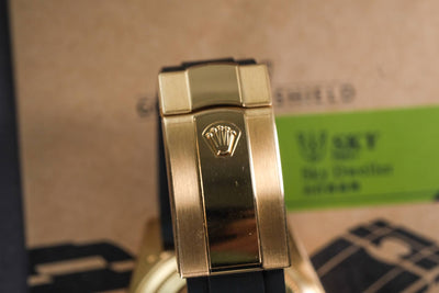 RX8 Protective Film for Rolex Skydweller